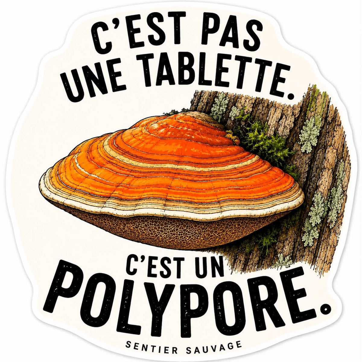 Sitcker Autocollant Polypore